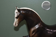 Load image into Gallery viewer, Charcoal Arabian Stallion-Family Arabian Stallion Mold-Breyer Traditional