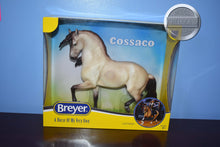 Load image into Gallery viewer, Cossaco-New in Box-Amazigh Mold-Breyer Traditional
