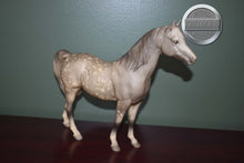 Load image into Gallery viewer, Dapple Grey Arabian-Proud Arabian Mare Mold-Breyer Traditional
