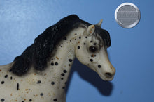 Load image into Gallery viewer, Majestic Arabian Stallion-Black Stallion Mold-Breyer Traditional