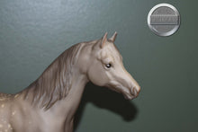 Load image into Gallery viewer, Dapple Grey Arabian-Proud Arabian Mare Mold-Breyer Traditional