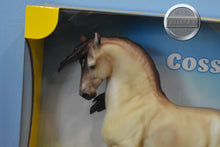 Load image into Gallery viewer, Cossaco-New in Box-Amazigh Mold-Breyer Traditional