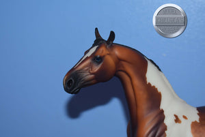 Zion-GELDING-XFCM Arabian to Saddlebred Mold-Peter Stone