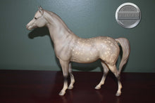 Load image into Gallery viewer, Dapple Grey Arabian-Proud Arabian Mare Mold-Breyer Traditional