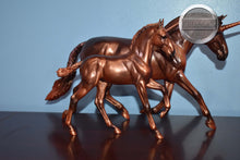 Load image into Gallery viewer, Mira and Antares-Unicorn Set-Andalusian Mare and Foal Mold-Breyer Traditional