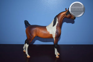 Zion-GELDING-XFCM Arabian to Saddlebred Mold-Peter Stone