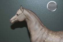 Load image into Gallery viewer, Dapple Grey Arabian-Proud Arabian Mare Mold-Breyer Traditional