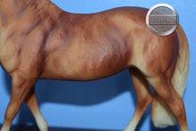Load image into Gallery viewer, Lusitano-Andalusian Mare Mold-Breyer Classic