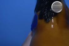 Load image into Gallery viewer, Monarch-Walking Shire Mold-Breyer Traditional