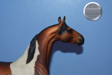 Load image into Gallery viewer, Zion-GELDING-XFCM Arabian to Saddlebred Mold-Peter Stone