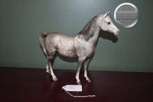 Load image into Gallery viewer, Dapple Grey Arabian #2-Proud Arabian Mare Mold-Breyer Traditional