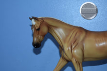 Load image into Gallery viewer, Bees Knees-Breyerfest Exclusive-Strapless Mold-Breyer Traditional