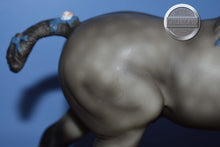 Load image into Gallery viewer, Grey with Blue Bobs-Shire Mold-Breyer Classic