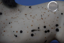 Load image into Gallery viewer, Majestic Arabian Stallion-Black Stallion Mold-Breyer Traditional