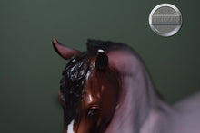 Load image into Gallery viewer, Matte Bay Roan Scandi Surprise-Freisian Sporthorse Mold-Breyer Traditional