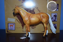 Load image into Gallery viewer, Pretty Consecutive-with Box and COA-Ideal Stock Horse Mold-Peter Stone