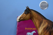 Load image into Gallery viewer, Passport-Trakenher Mold-Breyer Traditional