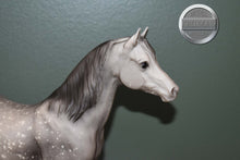 Load image into Gallery viewer, Dapple Grey Arabian #2-Proud Arabian Mare Mold-Breyer Traditional