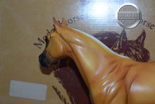 Load image into Gallery viewer, Pretty Consecutive-with Box and COA-Ideal Stock Horse Mold-Peter Stone
