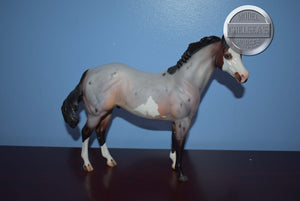 Doug-OOAK-Matte-Ideal Stock Horse Mold-Peter Stone