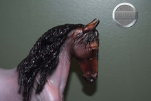 Load image into Gallery viewer, Matte Bay Roan Scandi Surprise-Freisian Sporthorse Mold-Breyer Traditional