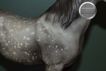 Load image into Gallery viewer, Dapple Grey Arabian #2-Proud Arabian Mare Mold-Breyer Traditional