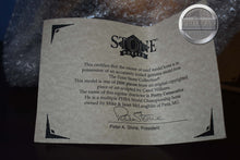 Load image into Gallery viewer, Pretty Consecutive-with Box and COA-Ideal Stock Horse Mold-Peter Stone