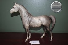 Load image into Gallery viewer, Dapple Grey Arabian #2-Proud Arabian Mare Mold-Breyer Traditional