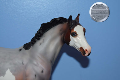 Doug-OOAK-Matte-Ideal Stock Horse Mold-Peter Stone