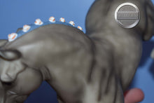 Load image into Gallery viewer, Grey with Blue Bobs-Shire Mold-Breyer Classic