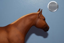 Load image into Gallery viewer, Chestnut Yearling-Quarter Horse Yearling Mold-Breyer Traditional