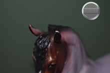Load image into Gallery viewer, Matte Bay Roan Scandi Surprise-Freisian Sporthorse Mold-Breyer Traditional