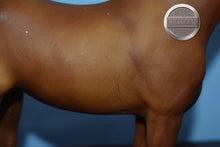 Load image into Gallery viewer, Chestnut Yearling-Quarter Horse Yearling Mold-Breyer Traditional