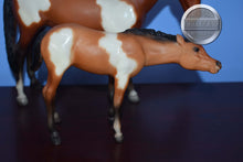 Load image into Gallery viewer, Bay White Pinto Thoroughbred Mare and Foal-Nursing Mare and Foal Mold-Breyer Traditional