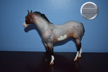 Load image into Gallery viewer, Doug-OOAK-Matte-Ideal Stock Horse Mold-Peter Stone