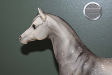 Load image into Gallery viewer, Dapple Grey Arabian #2-Proud Arabian Mare Mold-Breyer Traditional