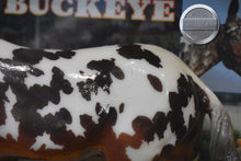 Load image into Gallery viewer, Glossy Buckeye Mule-Collector Club Appreciation Exclusive-Breyer Traditional