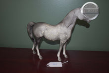 Load image into Gallery viewer, Dapple Grey Arabian #3-Proud Arabian Mare Mold-Breyer Traditional