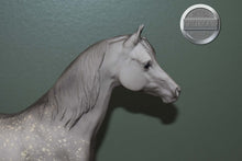 Load image into Gallery viewer, Dapple Grey Arabian #3-Proud Arabian Mare Mold-Breyer Traditional