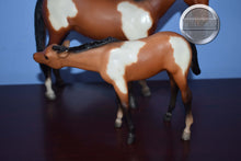 Load image into Gallery viewer, Bay White Pinto Thoroughbred Mare and Foal-Nursing Mare and Foal Mold-Breyer Traditional