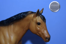 Load image into Gallery viewer, Buckskin Mare from Collectible Stock Horse Family-Sears Exclusive-Stock Horse Mare Mold-Breyer Traditional