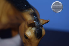 Load image into Gallery viewer, Buckskin Mare from Collectible Stock Horse Family-Sears Exclusive-Stock Horse Mare Mold-Breyer Traditional