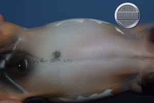 Doug-OOAK-Matte-Ideal Stock Horse Mold-Peter Stone