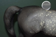 Load image into Gallery viewer, Dapple Grey Arabian #3-Proud Arabian Mare Mold-Breyer Traditional