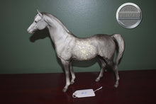 Load image into Gallery viewer, Dapple Grey Arabian #3-Proud Arabian Mare Mold-Breyer Traditional