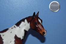Load image into Gallery viewer, Resolute-XFCM-Matte-LE of 10-Ideal Stock Horse Mold-Peter Stone