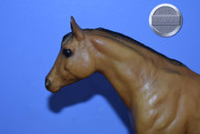 Load image into Gallery viewer, Buckskin Mare from Collectible Stock Horse Family-Sears Exclusive-Stock Horse Mare Mold-Breyer Traditional