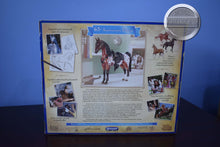 Load image into Gallery viewer, Glitterati-Loose Ties-Western Horse Mold-Breyer Traditional