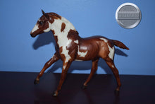 Load image into Gallery viewer, Van Gogh-Action Stock Horse Foal Mold-Breyer Traditional