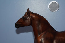 Load image into Gallery viewer, Alba-Clydesdale Mare Mold-Breyer Traditional